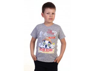 Футболка детская 7-52д (берёзка серый) от компании Новое Кимоно, г. Иваново