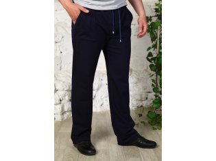 Брюки мужские 9-02в (синий) от компании Новое Кимоно, г. Иваново