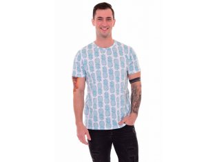 Футболка мужская 9-168а (бирюза), Ананас от компании Новое Кимоно, г. Иваново