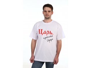 Футболка мужская 9-35 от компании Новое Кимоно, г. Иваново