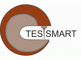 Логотип Тессмарт
