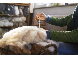 Глубокую переработку шерсти в России планируют «перезапустить» до конца 2024 года