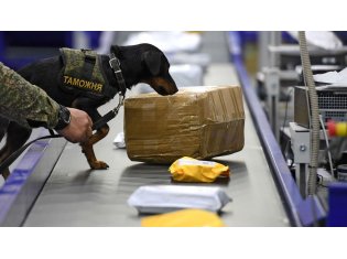 «Мониторинг производителей и продавцов» выявил поддельные фабрики и сотни килограммов контрафакта