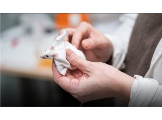 Российские учёные научили ткань отталкивать воду, уничтожать бактерии и самоочищаться 