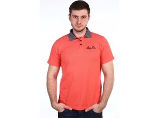 Товар Футболка Поло №302 короткий рукав от компании Натали 37 (Natali)