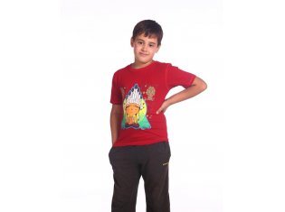 Футболка для мальчика от компании Серенада, г. Кохма