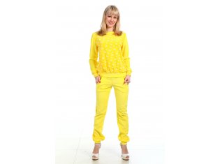 Товар Костюм женский теплый из велюра от производителя от компании Ивмодель