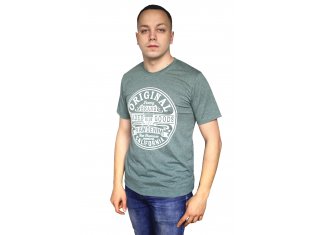 Футболка мужская "Калифорния зелень" от компании Домтрик, г. Иваново