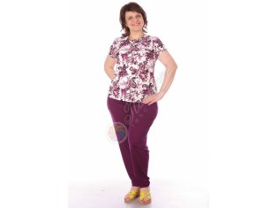 Блузка "Элис", короткий рукав от компании Палитра-Текстиль (ИП Баранова Н.В.), г. Кохма