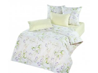 Постельное белье Фаворит Текстиль Тюльпан, ранфорс от компании Ассорти Комфорт, г. Иваново