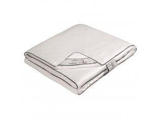 Шелковое одеяло всесезонное ИвШвейСтандарт Mulberry Silk от компании Ассорти Комфорт, г. Иваново
