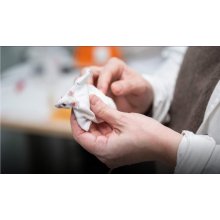 Российские учёные научили ткань отталкивать воду, уничтожать бактерии и самоочищаться 