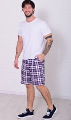 Шорты мужские 9-173д (голубая клетка) от компании Новое Кимоно, г. Иваново