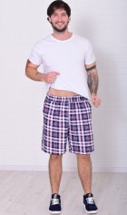 Шорты мужские 9-173д (голубая клетка) от компании Новое Кимоно, г. Иваново
