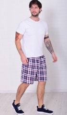 Шорты мужские 9-173д (голубая клетка) от компании Новое Кимоно, г. Иваново