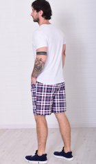 Шорты мужские 9-173д (голубая клетка) от компании Новое Кимоно, г. Иваново