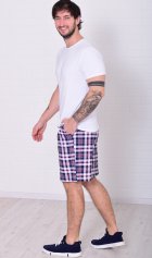 Шорты мужские 9-173д (голубая клетка) от компании Новое Кимоно, г. Иваново