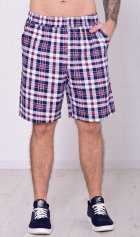 Шорты мужские 9-173д (голубая клетка) от компании Новое Кимоно, г. Иваново