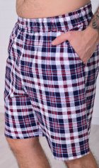 Шорты мужские 9-173д (голубая клетка) от компании Новое Кимоно, г. Иваново