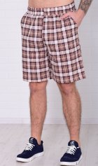 Шорты мужские 9-173и (коричневая клетка) от компании Новое Кимоно, г. Иваново Шорты мужские 9-173и (коричневая клетка) от компании Новое Кимоно, г. Иваново