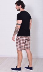 Шорты мужские 9-173и (коричневая клетка) от компании Новое Кимоно, г. Иваново