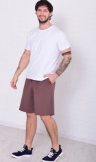 Шорты мужские 9-220 (шоколад) от компании Новое Кимоно, г. Иваново