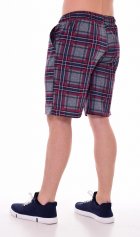 Шорты мужские 9-173б (серый+бордо) от компании Новое Кимоно, г. Иваново