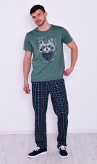 Пижама мужская 9-198 (изумруд) Енот от компании Новое Кимоно, г. Иваново Пижама мужская 9-198 (изумруд) Енот от компании Новое Кимоно, г. Иваново