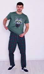 Пижама мужская 9-198 (изумруд) Енот от компании Новое Кимоно, г. Иваново Пижама мужская 9-198 (изумруд) Енот от компании Новое Кимоно, г. Иваново