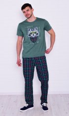 Пижама мужская 9-199 (изумруд) Енот от компании Новое Кимоно, г. Иваново