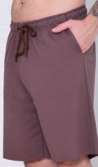 Шорты мужские 9-220 (шоколад) от компании Новое Кимоно, г. Иваново Шорты мужские 9-220 (шоколад) от компании Новое Кимоно, г. Иваново