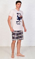 Пижама мужская  9-95 (бежевый) Воронята от компании Новое Кимоно, г. Иваново