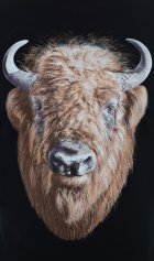 Футболка мужская 9-149 (черный) от компании Новое Кимоно, г. Иваново